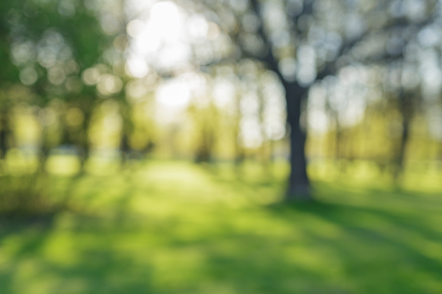 生レンズの乱視用レンズは？｜はじめてのコンタクトレンズ.com